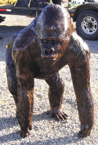 Gorilla